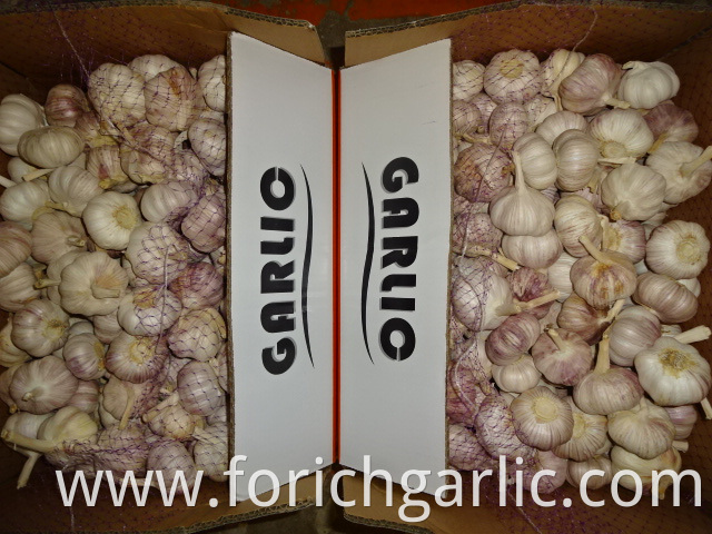 Fresh Garlic